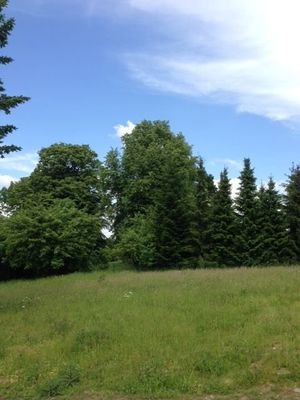 Angenehme Lage im Grünen und schöner Ausblick