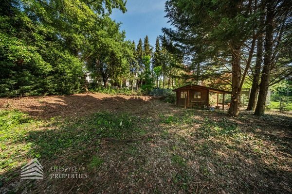 Bild 15