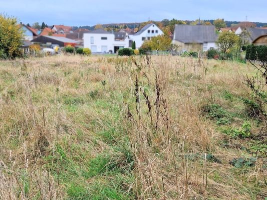 Eingerahmt vom Taunuswald