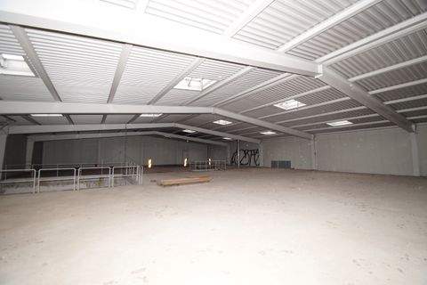 Schkeuditz Halle, Schkeuditz Hallenfläche