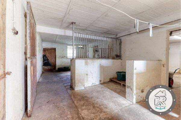 Pferdebox mit Außentür