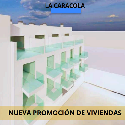 La Caracola 3.png