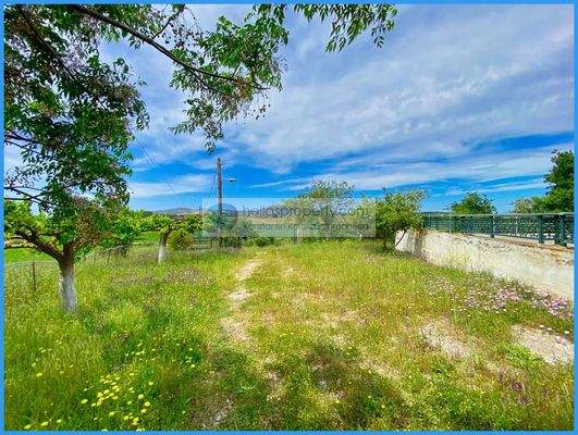 779605416e0e46398d7ccd68e230aa58-original