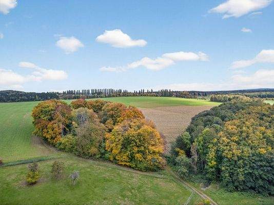 Direkte Umgebung Natur pur