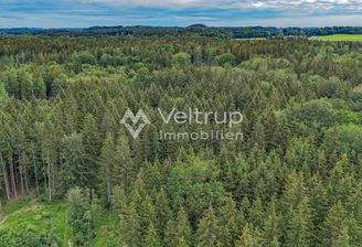 Forstgrundstück Wörthsee F