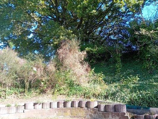 Aussicht von der Terrasse