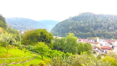 Neuenbürg Häuser, Neuenbürg Haus kaufen