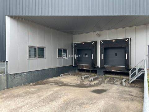 Alsdorf Halle, Alsdorf Hallenfläche