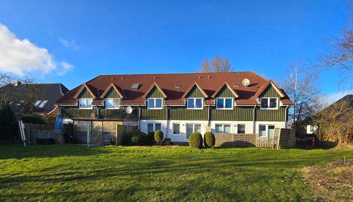 20250226_161717_resized