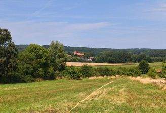 Bild6
