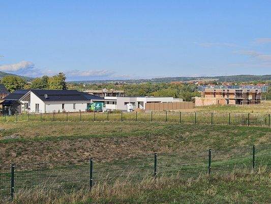 Blick zum Reinhardswald