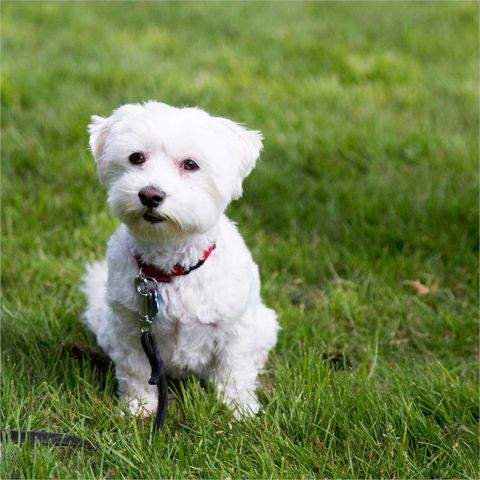 Essen / Steele Wohnungen, Essen / Steele Wohnung kaufen