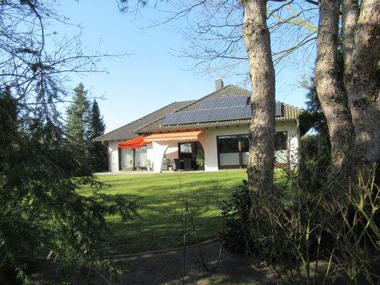 Blick in  den Garten 