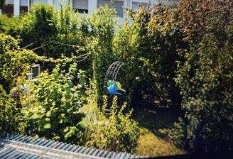 Rückansicht garten
