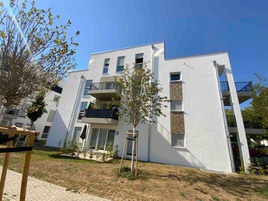 Hinteransicht des 4 stöckigen Wohngebäudes mit Balkonen rechts und mittig, begrünte Außenfläche.JPG