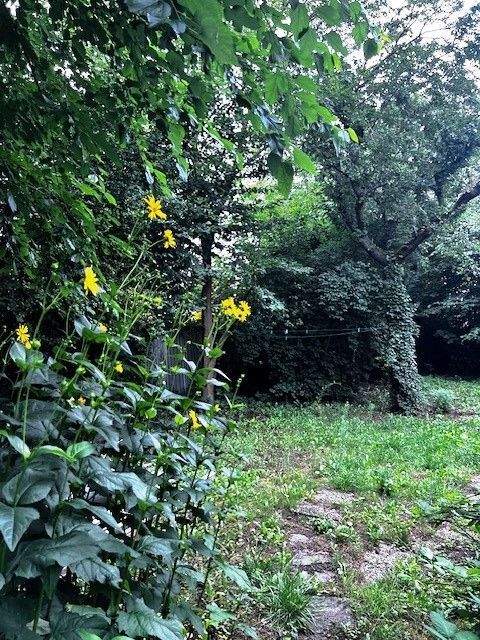 Berlin Grundstücke, Berlin Grundstück kaufen