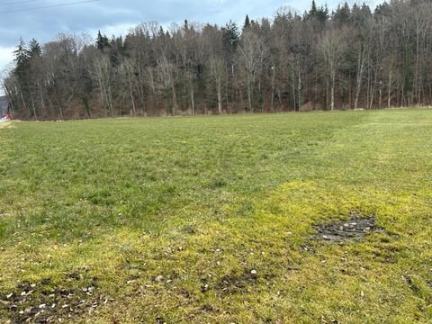 Nußdorf Bauernhöfe, Landwirtschaft, Nußdorf Forstwirtschaft