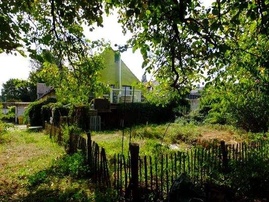 Gartenansicht mit Baumbestand