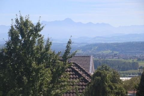 Weinfelden Häuser, Weinfelden Haus kaufen