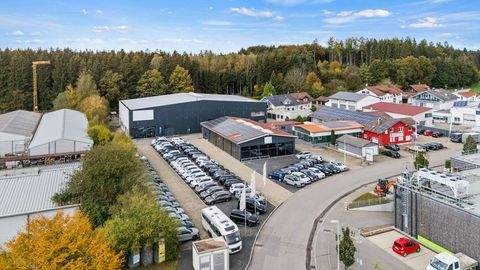 Bodnegg Halle, Bodnegg Hallenfläche