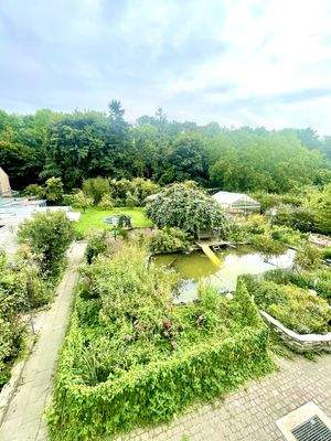 Garten und Schwimmteich