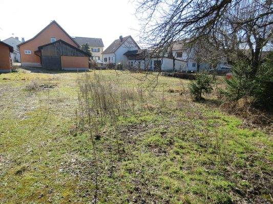 Blick vom hinteren Grundstücksteil
