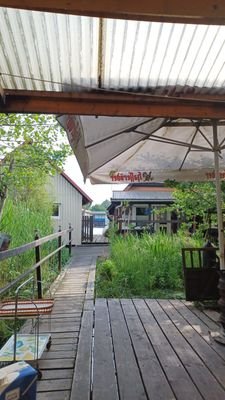 Blick vom Bungalow in Richtung Bootshaus
