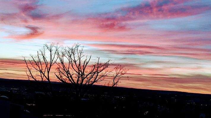 IMG_20200315_184243~2