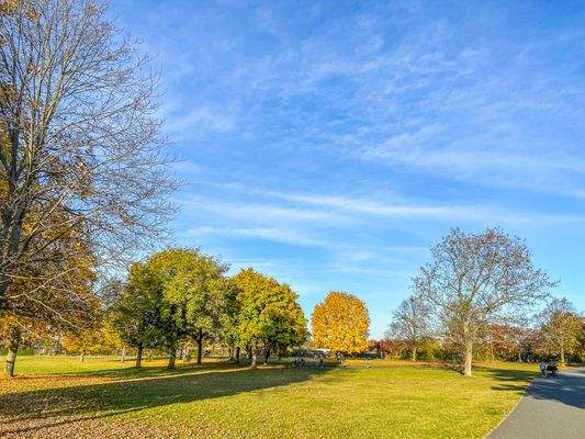 Der nahegelegene Westpark 