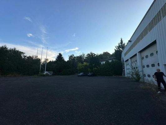 WhatsApp Image 2025-01-29 at 12.02.51 (12).jpeg