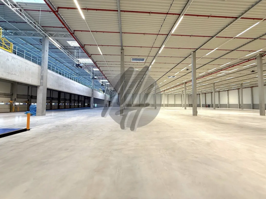 INFOS UNTER: 06171-586000