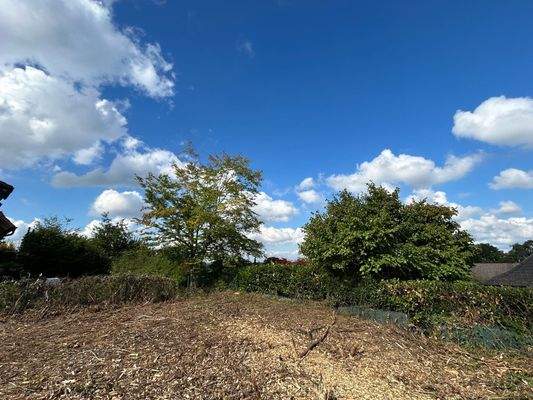 Nördlicher Grundstücksbereich