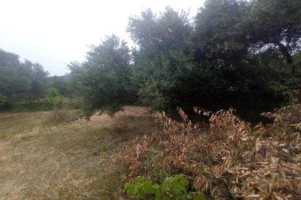 Kreta, Kastelli: Einfamilienhaus mit großem Garten in traditionellem Dorf zu verkaufen