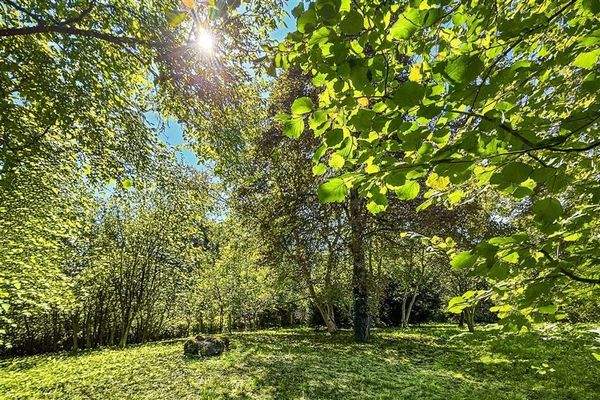 Traumhaftes Grundstück