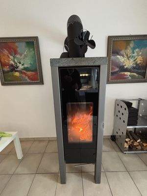 Kaminofen-Wohn-/Essbereich