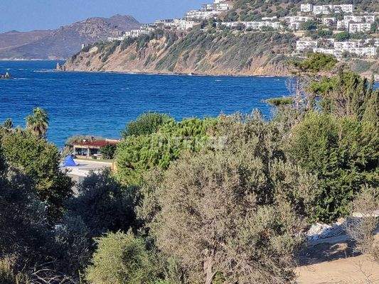 Sea View Villas Within Walking Distance to the Beach in Bodrum