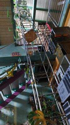 Küppel 44 - Geplanter Lift.jpg