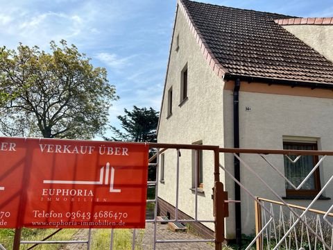 Elsterwerda Häuser, Elsterwerda Haus kaufen