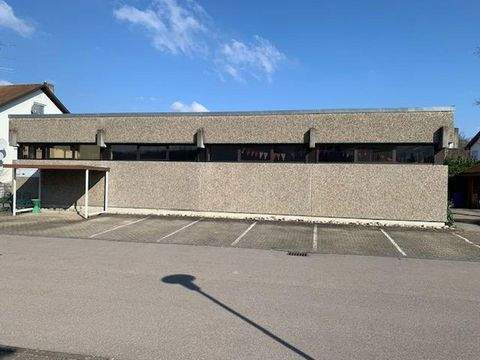 Lauchringen Halle, Lauchringen Hallenfläche