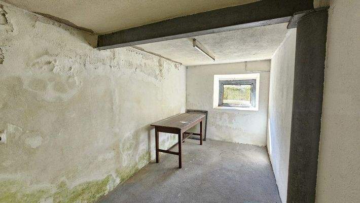 Keller - EG - Haus - Steinfeld - kaufen