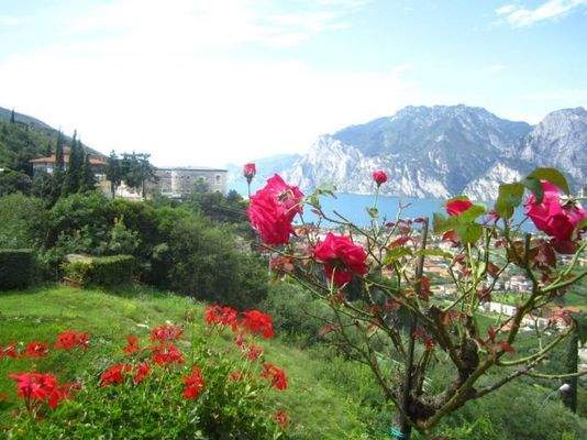 (FILEminimizer) IMG_8528