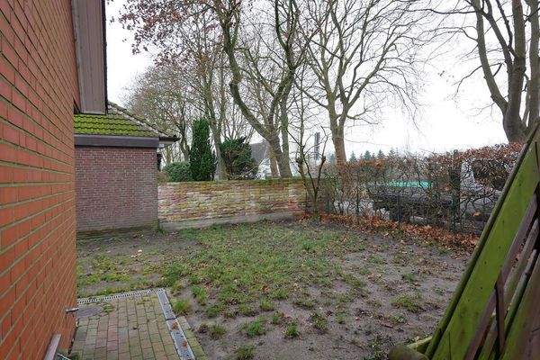 Blick in den Garten.JPG