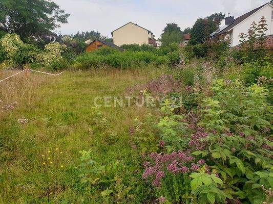 Sicht auf hinteres Ende