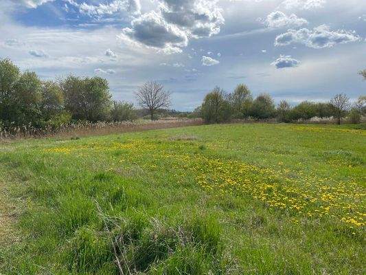 landwirtschaftliche Fläche