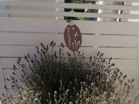 Markkleeberg Häuser, Markkleeberg Haus kaufen