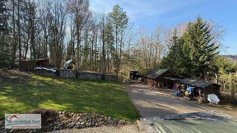 Wadern / Noswendel Häuser, Wadern / Noswendel Haus kaufen