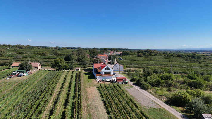 Snímek obrazovky 2025-11-06 151046.png