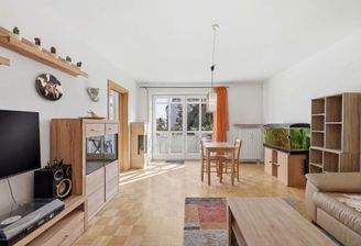 Blick in offenen Wohnraum