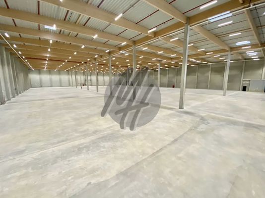 INFOS UNTER: 06171-586000