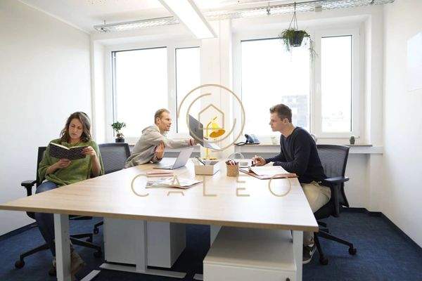 privates Büro Beispiel 1